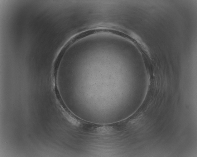 X0000074291368200608251333