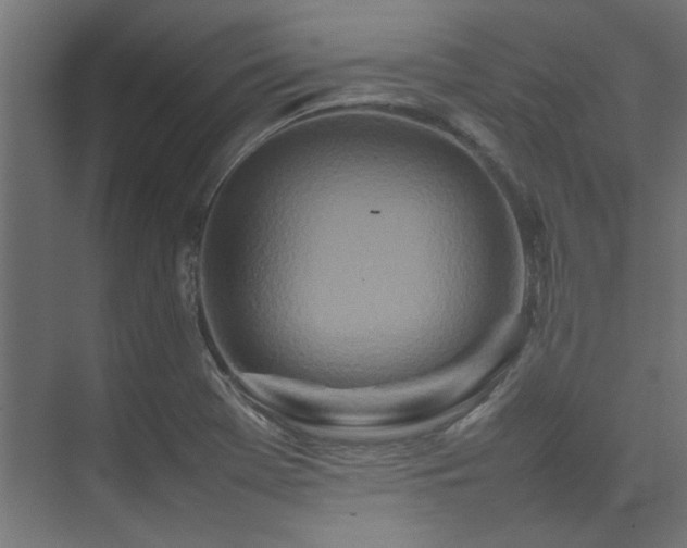 X0000074291369200608251333