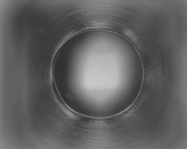 X0000074291370200608251333