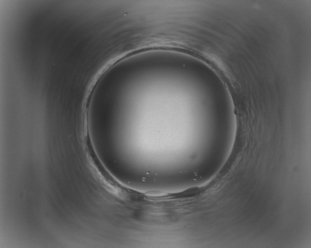 X0000074291371200608251333