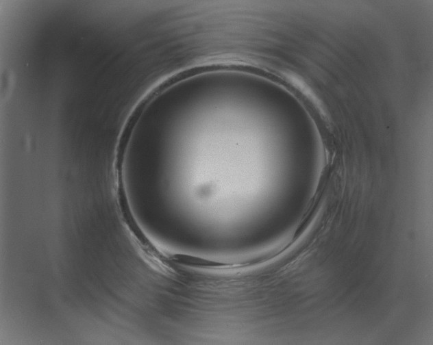 X0000074291372200608251333