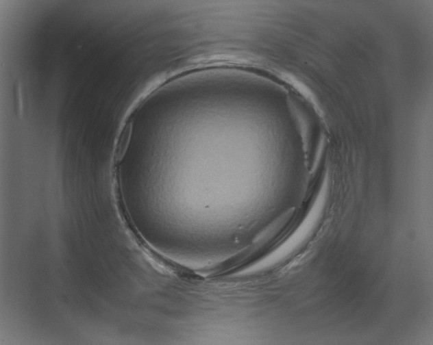 X0000074291373200608251333