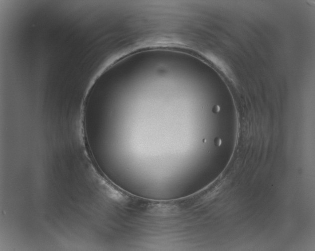 X0000074291374200608251333