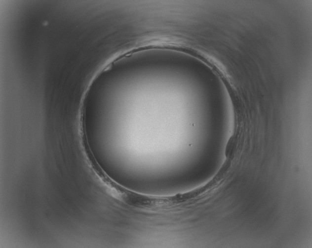 X0000074291375200608251333