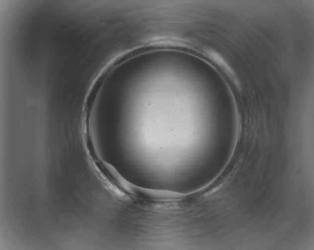 X0000074291376200608251333