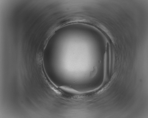 X0000074291377200608251333