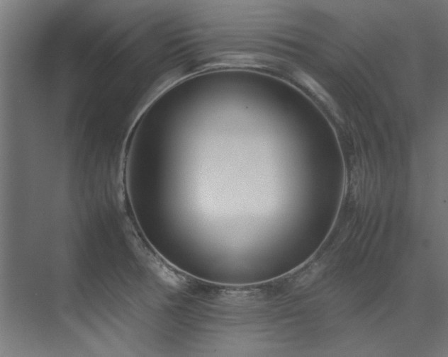 X0000074291378200608251333