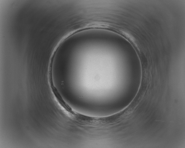 X0000074291379200608251333