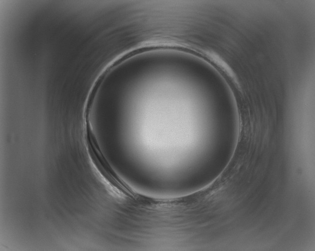 X0000074291380200608251333