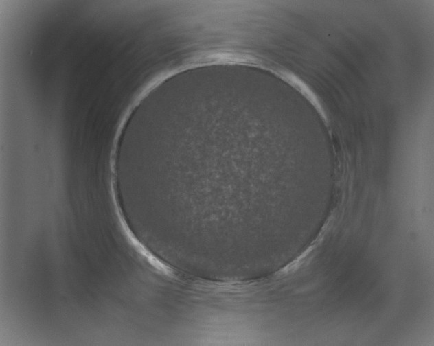 X0000074291381200608251333