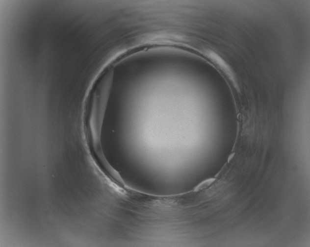 X0000074291384200608251333