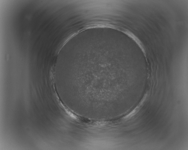 X0000074291385200608251333