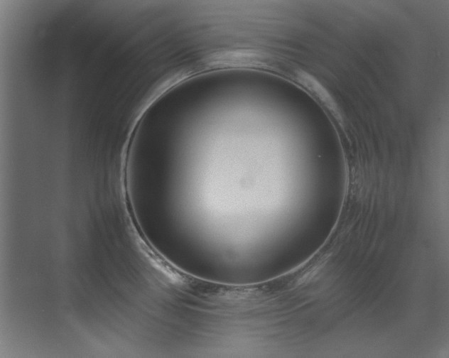 X0000074291386200608251333