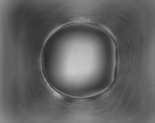 X0000074291387200608251333