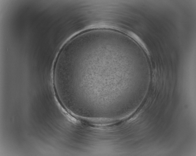 X0000074291388200608251333