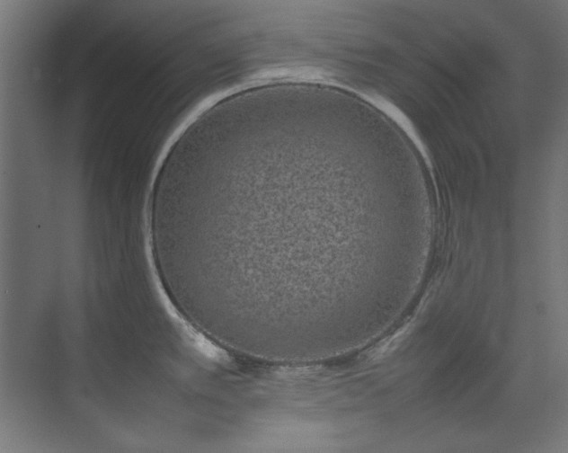 X0000074291389200608251333