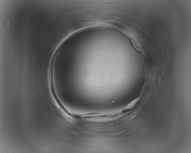 X0000074291391200608251333