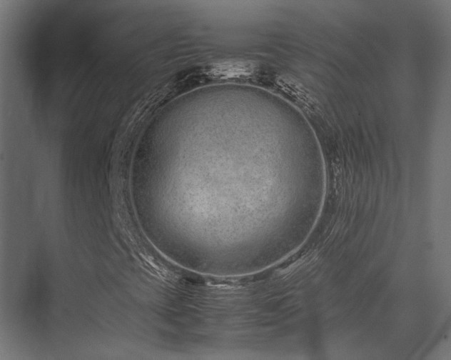 X0000074291393200608251332