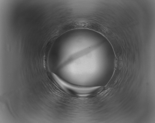 X0000074291394200608251332