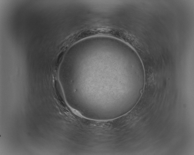 X0000074291397200608251332