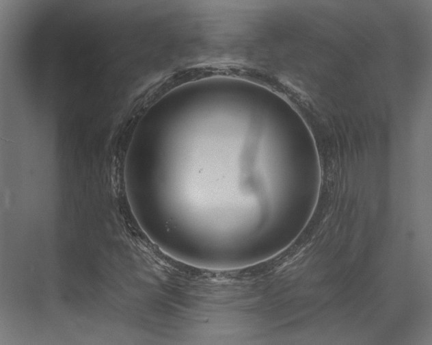 X0000074291398200608251332