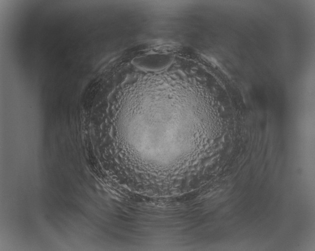 X0000074291399200608251332