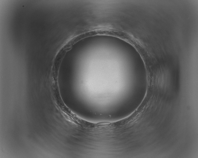 X0000074291400200608251332