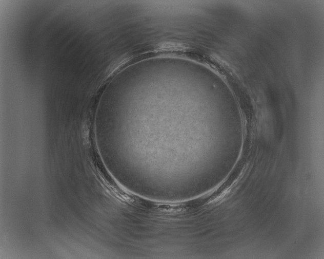 X0000074291401200608251332