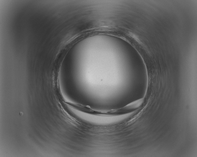 X0000074291402200608251332