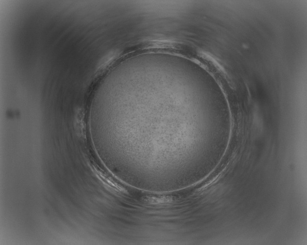 X0000074291403200608251332