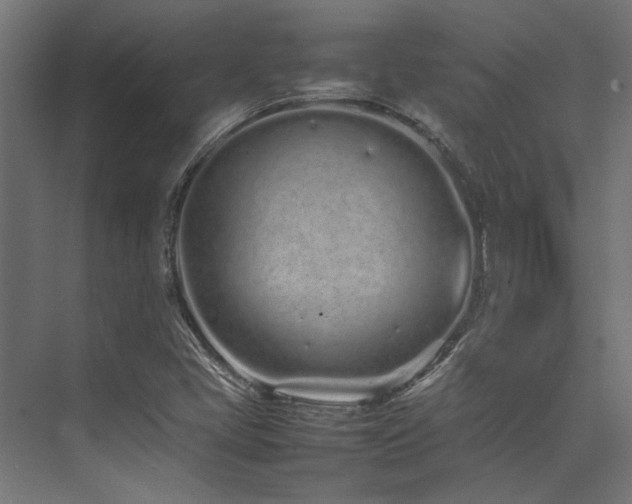 X0000074291405200608251332