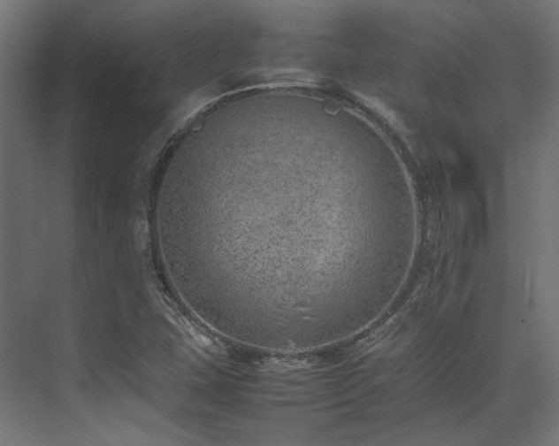 X0000074291407200608251332