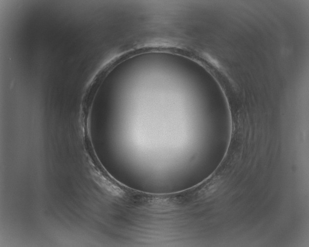 X0000074291408200608251332