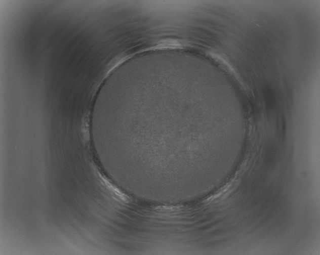 X0000074291409200608251332