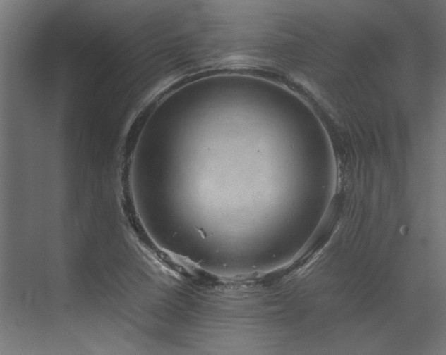 X0000074291410200608251332