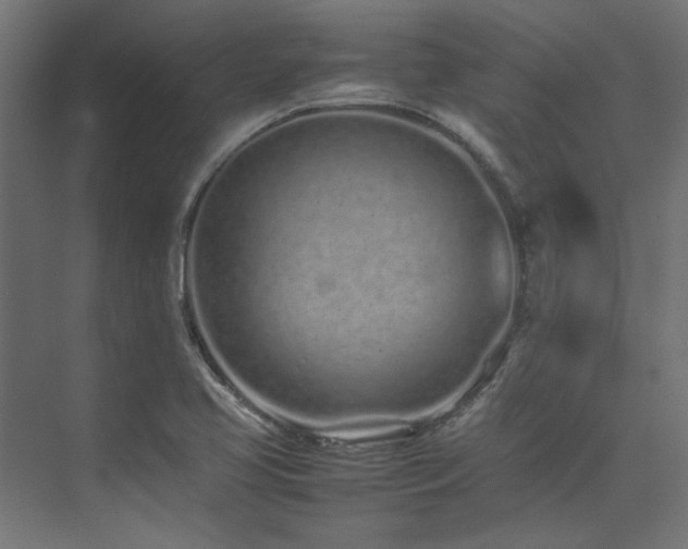 X0000074291413200608251332