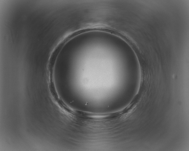 X0000074291414200608251332