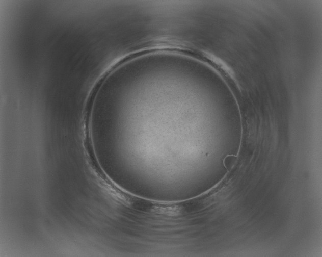 X0000074291415200608251332