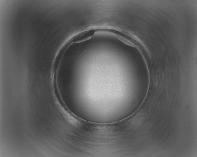 X0000074291416200608251332