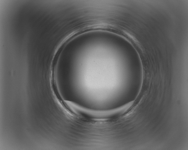 X0000074291418200608251332