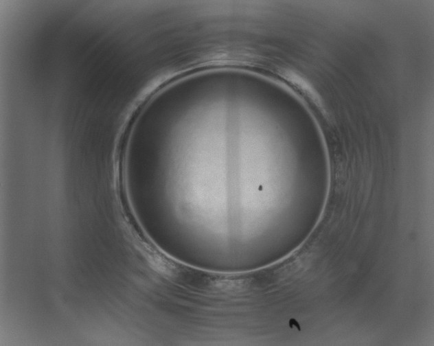 X0000074291419200608251332