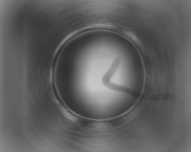 X0000074291420200608251332