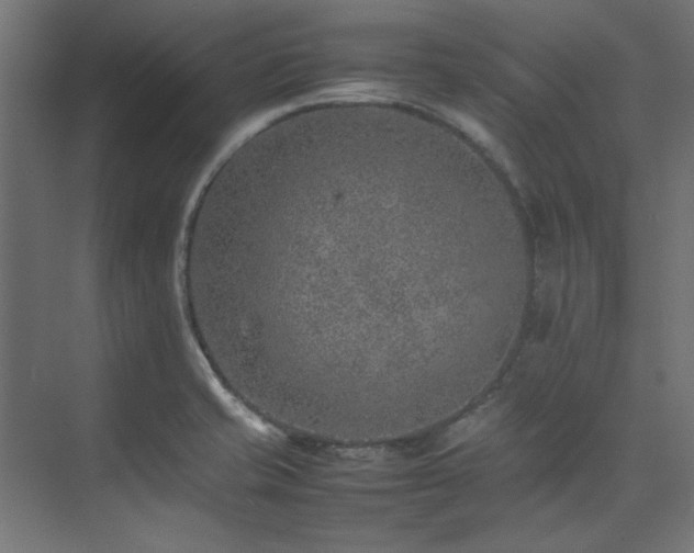 X0000074291421200608251332