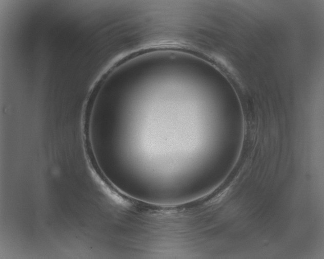 X0000074291422200608251332