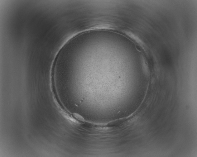 X0000074291423200608251332