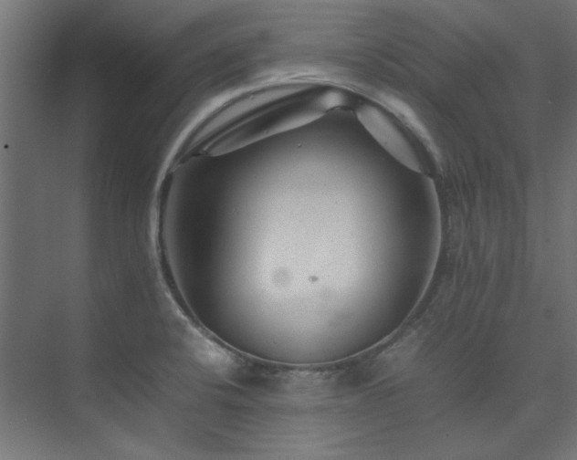 X0000074291424200608251332