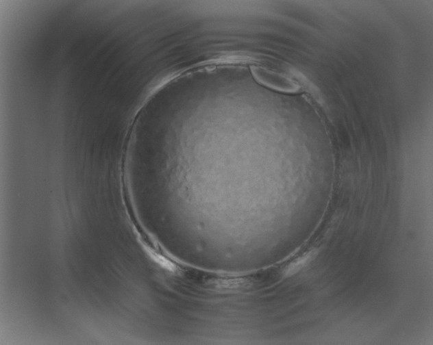 X0000074291425200608251332