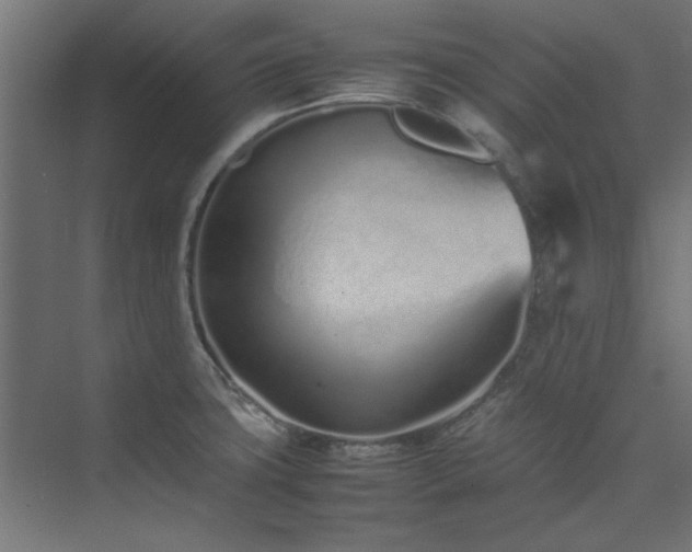 X0000074291427200608251333