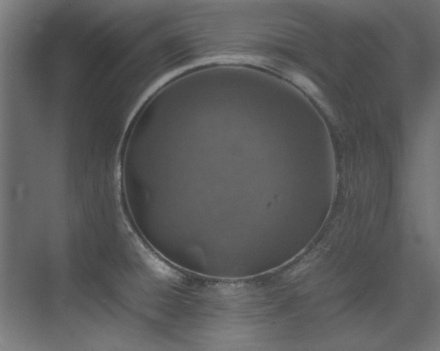 X0000074291428200608251333