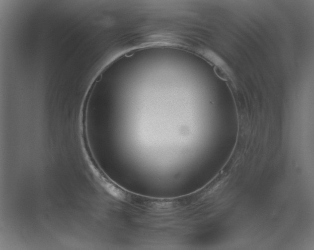 X0000074291431200608251333